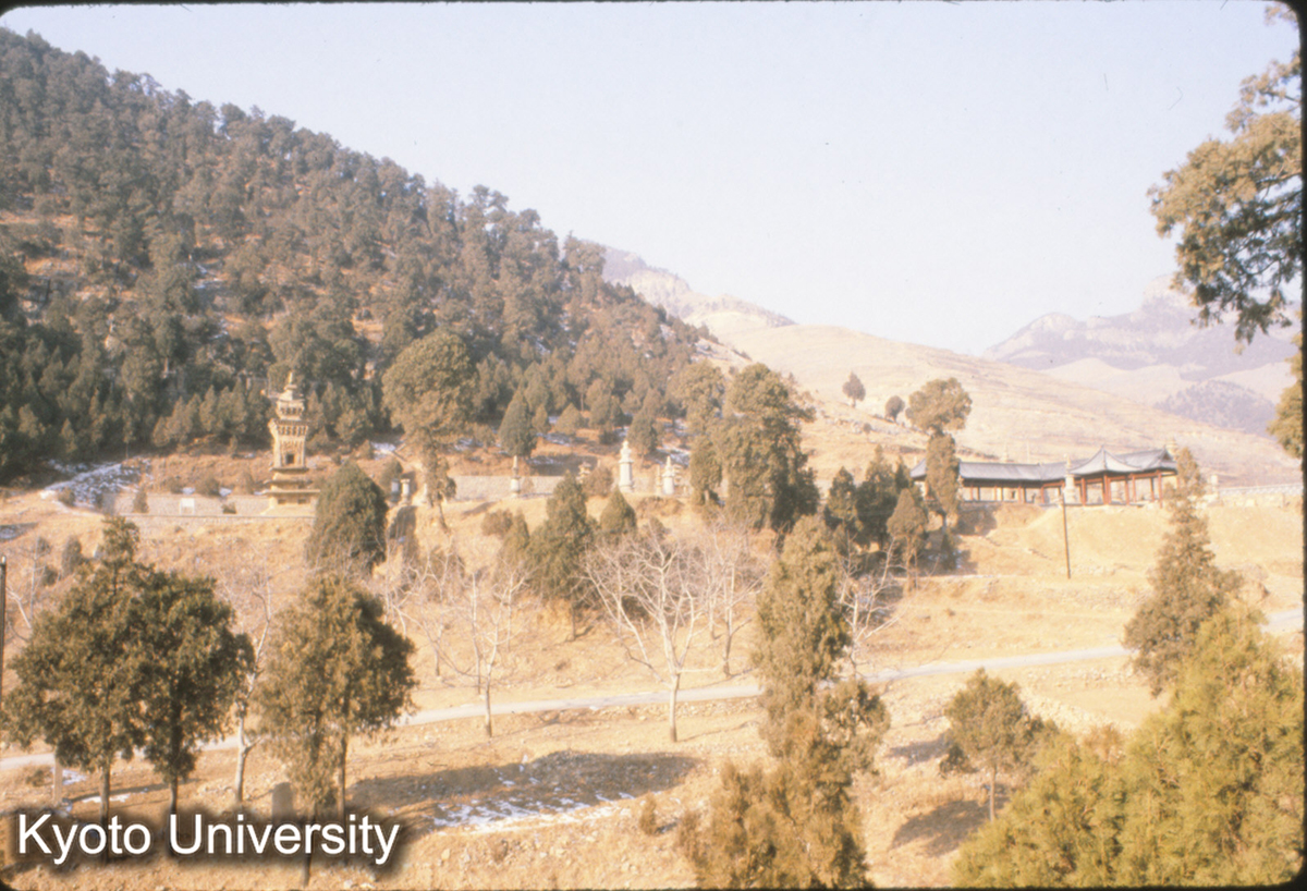 76-16_歴城 神通寺龍虎塔及び墓塔林 遠景 (1)