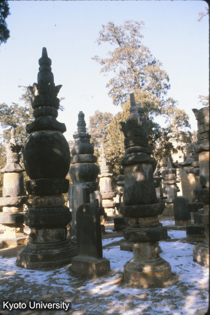 79-5_長清 霊岩寺 歴代墓塔 (1)