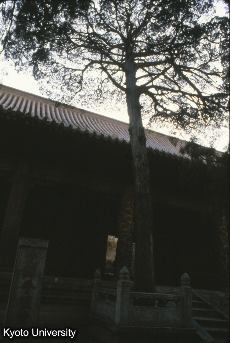 80-32_曲阜 孔廟 大成門 後面 (1)