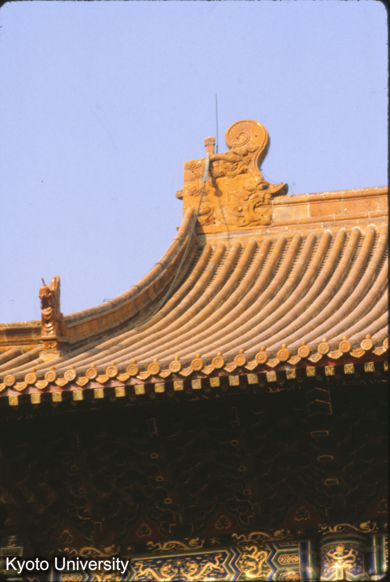 81-2_曲阜 孔廟大成殿 屋面 (1)