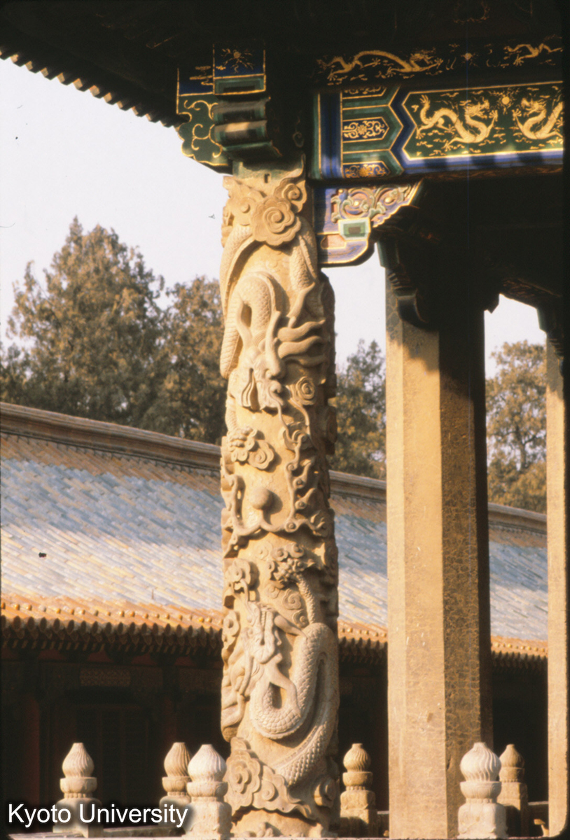 81-7_曲阜 孔廟大成殿 前廊石柱 (1)