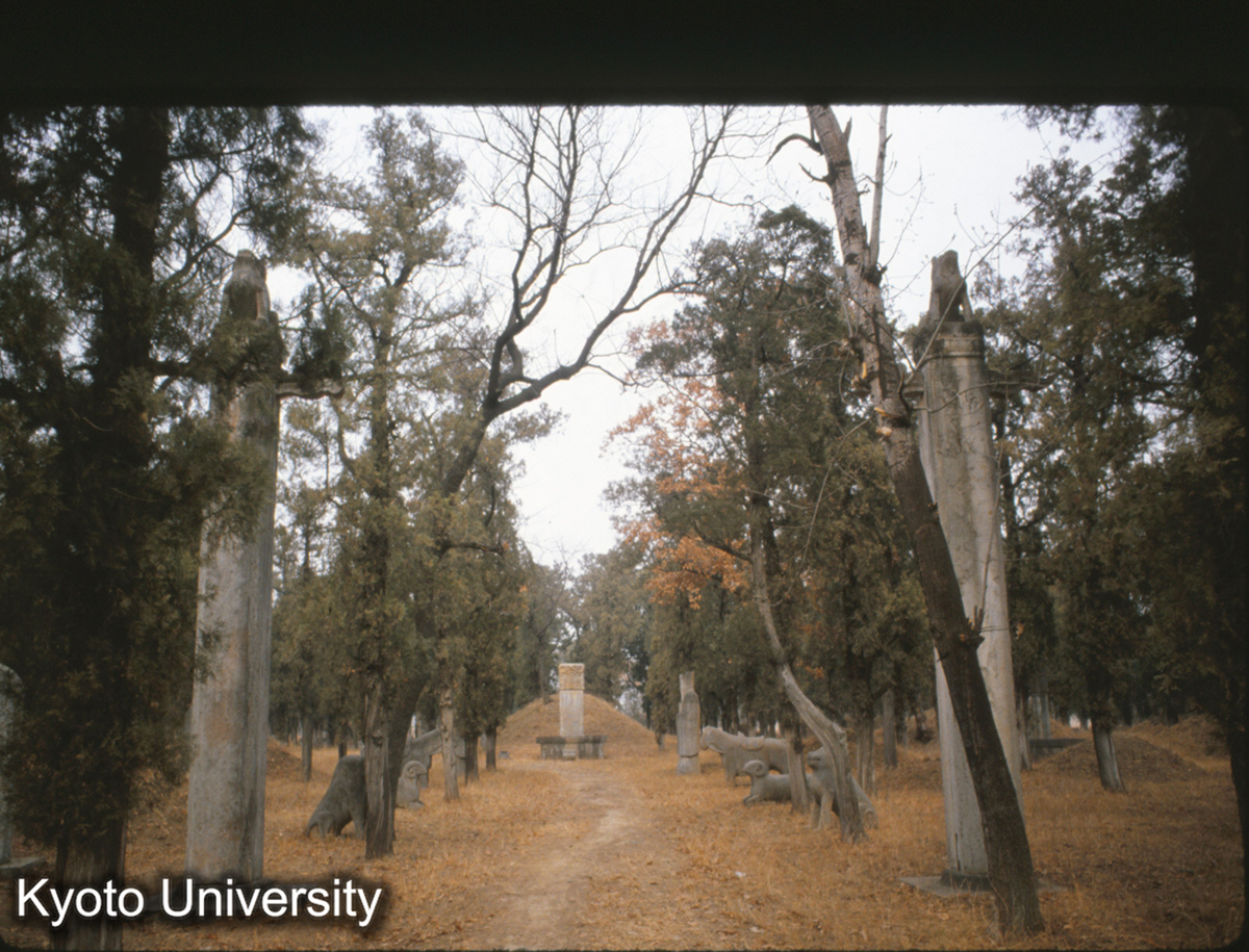 83-34_曲阜 孔林 69代体和 乾隆39（1774） (1)