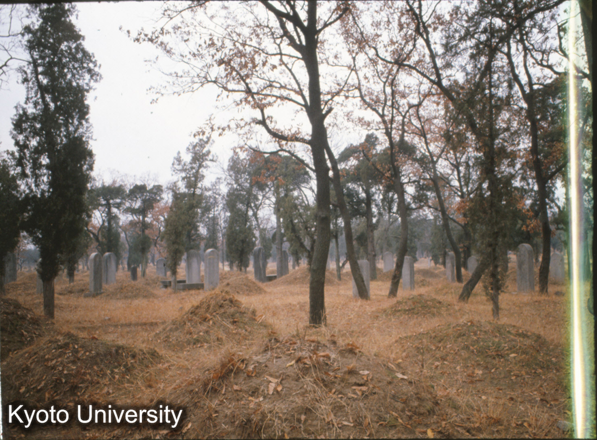 83-38止_曲阜 孔林 (1)