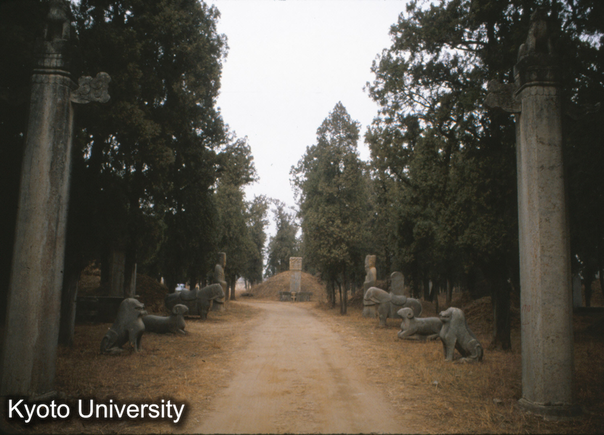 84-1_曲阜 孔林 (1)