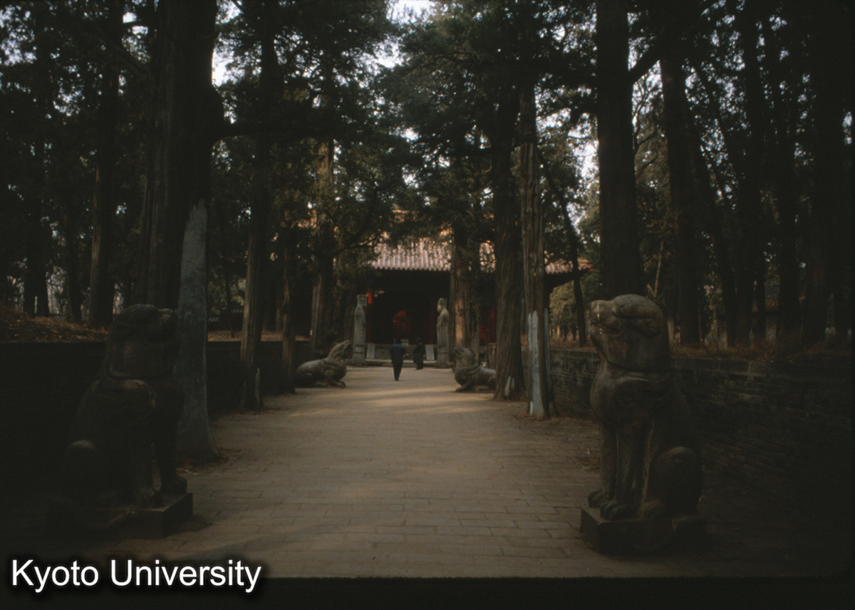 84-6_曲阜 孔林孔子墓 享殿 (1)