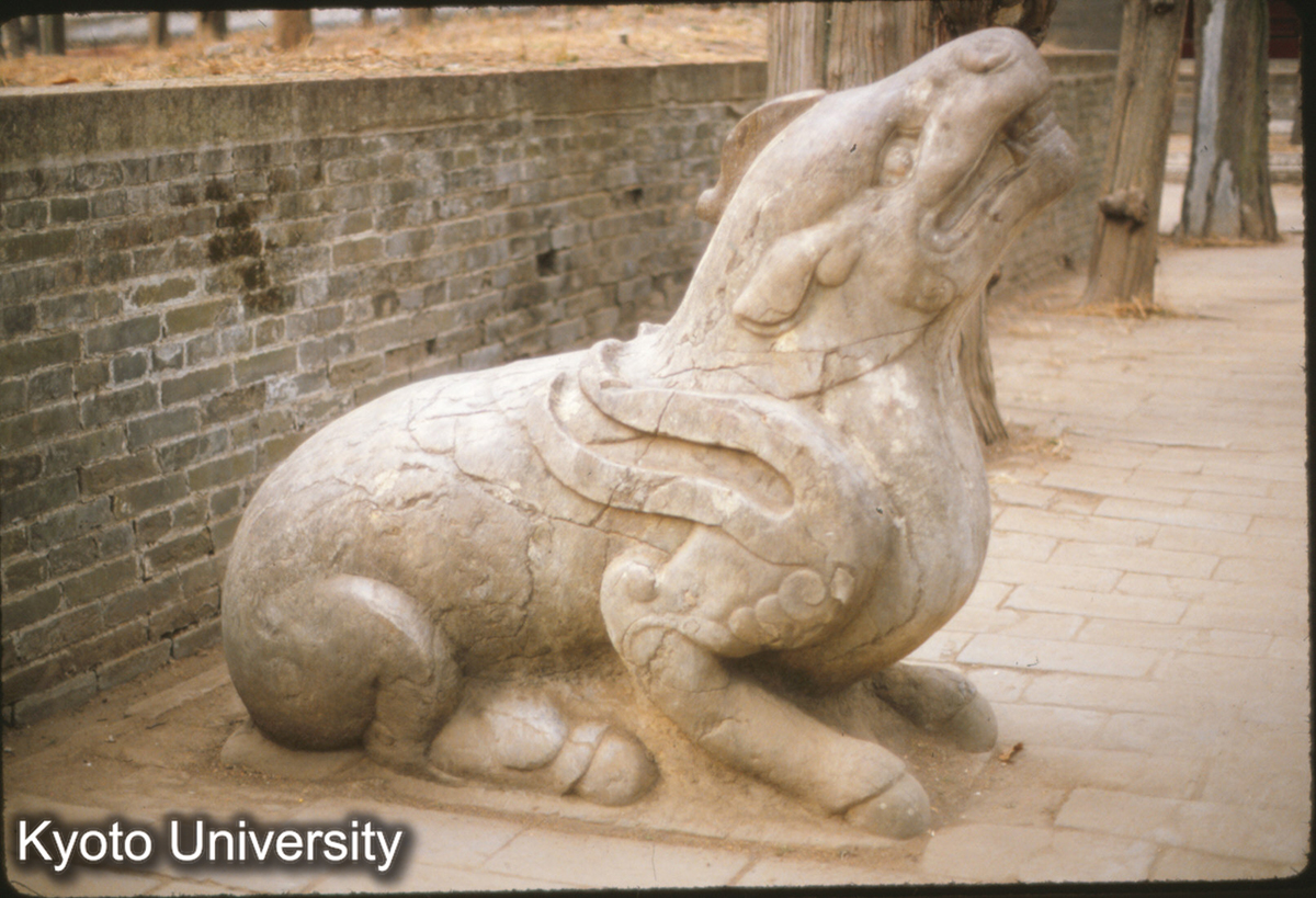 84-7_曲阜 孔林孔子墓 石麒麟 (1)