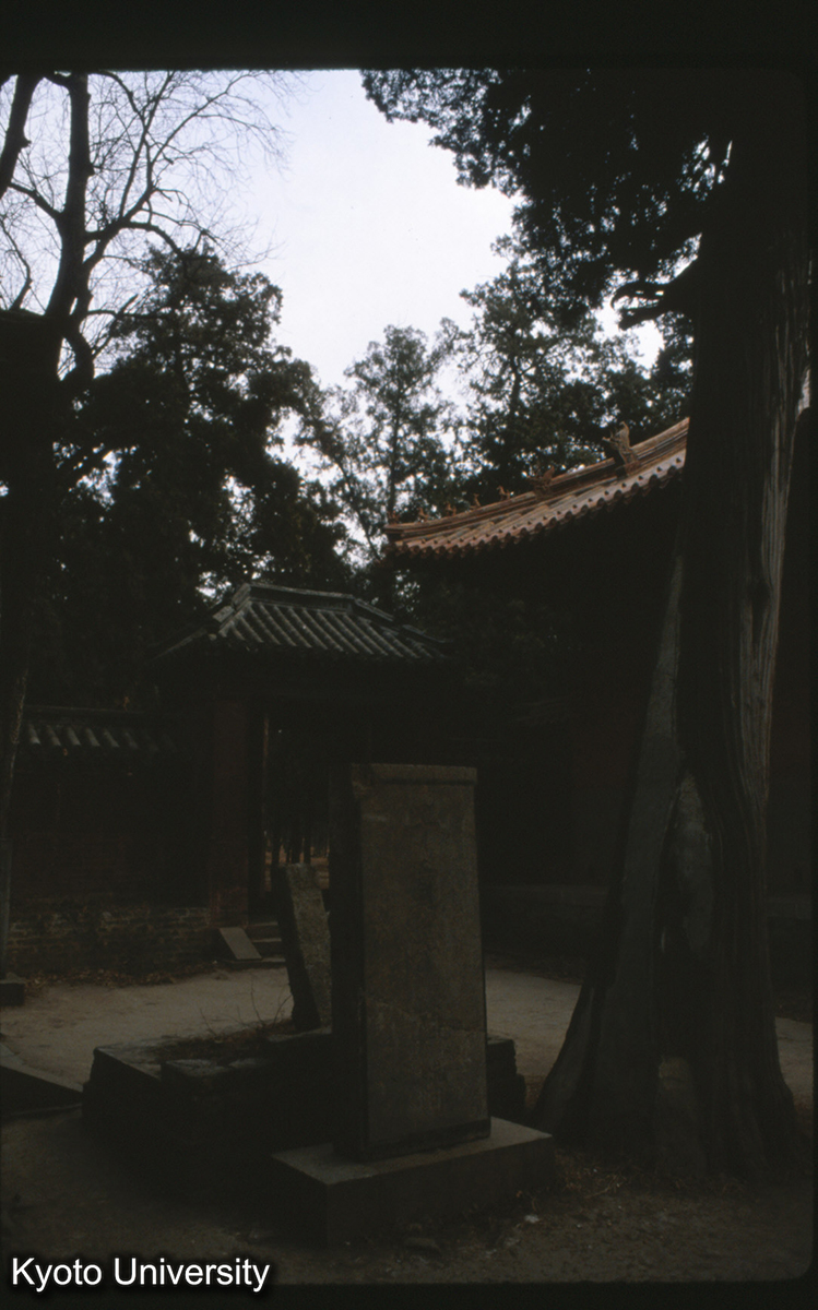 84-10_曲阜 孔林 子貢手植楷 現存の樹でなくうしろの小石壇にあった（康熙碑） (1)