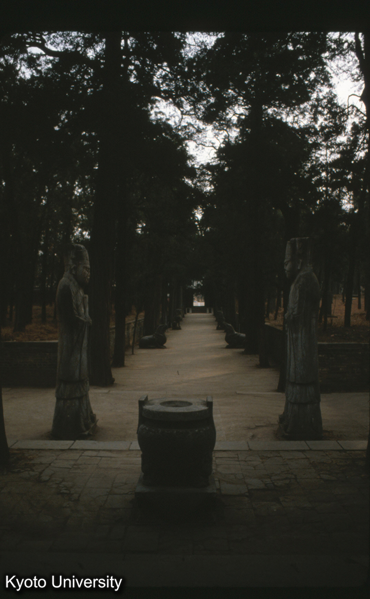 84-18_曲阜 孔子墓 享堂より神道をみる (1)