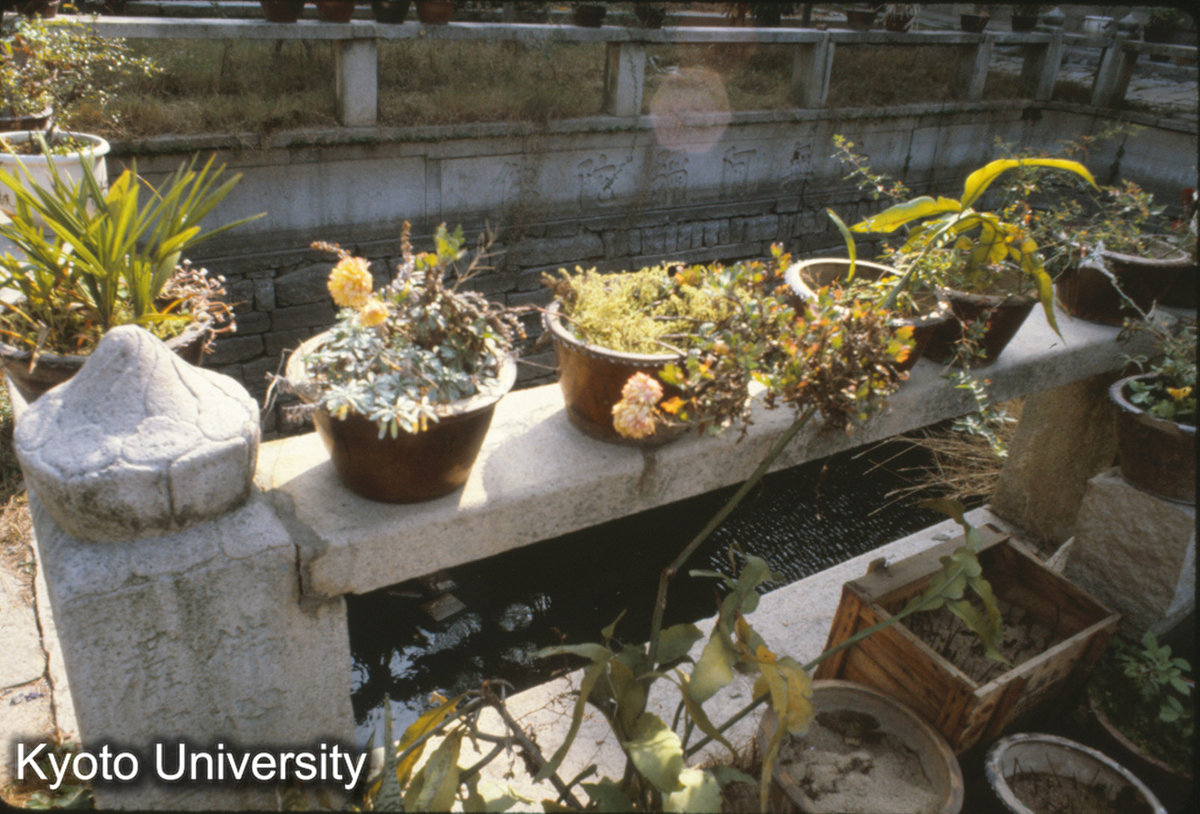 90-27_泉州 承天寺 泮池 (1)