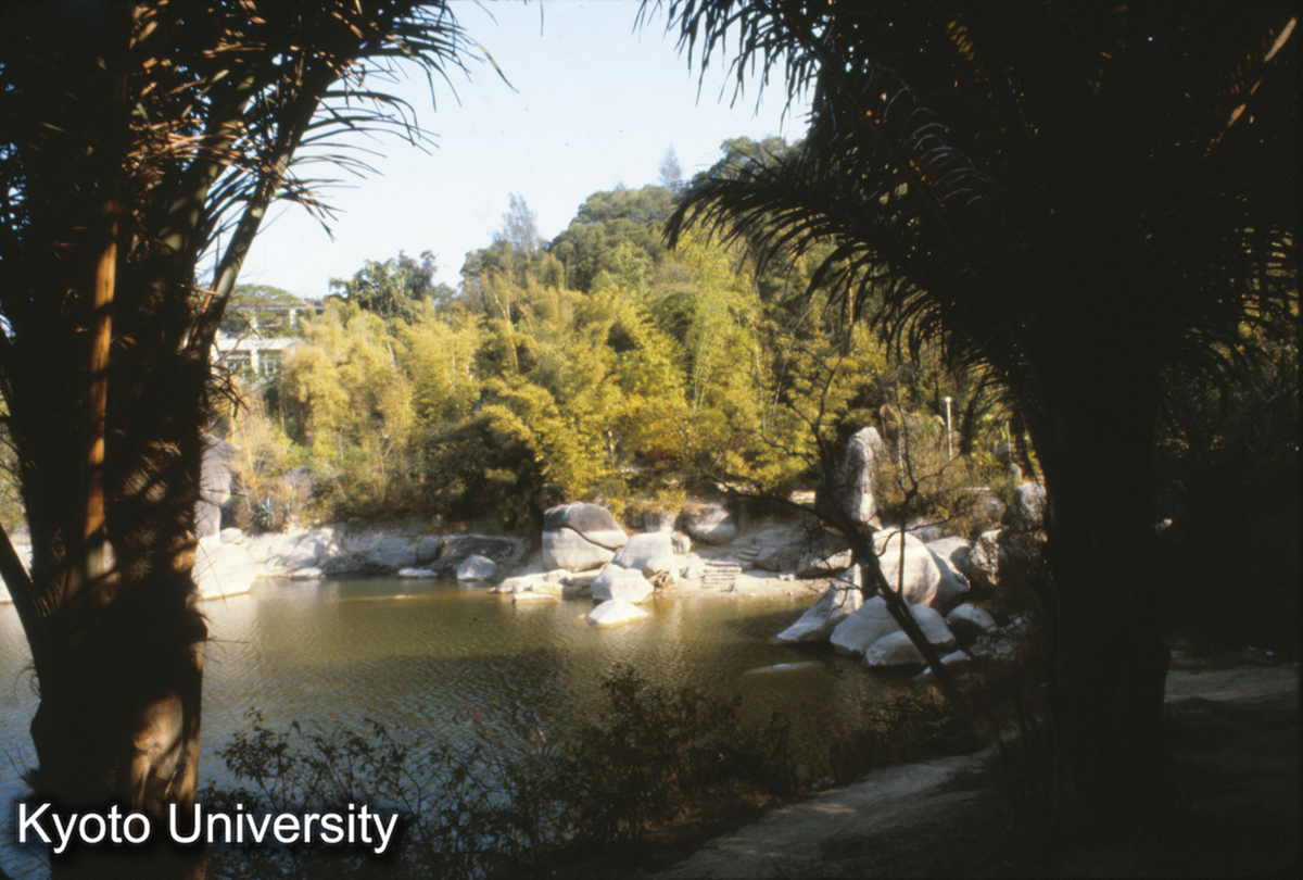 93-27_厦門 園林植物園 (1)