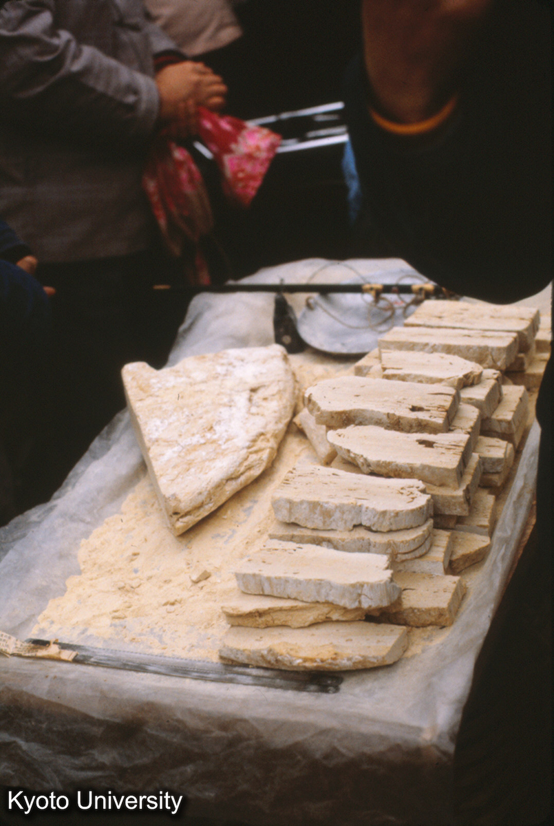 94-34_南京 夫子廟 蒿麦餅 (1)