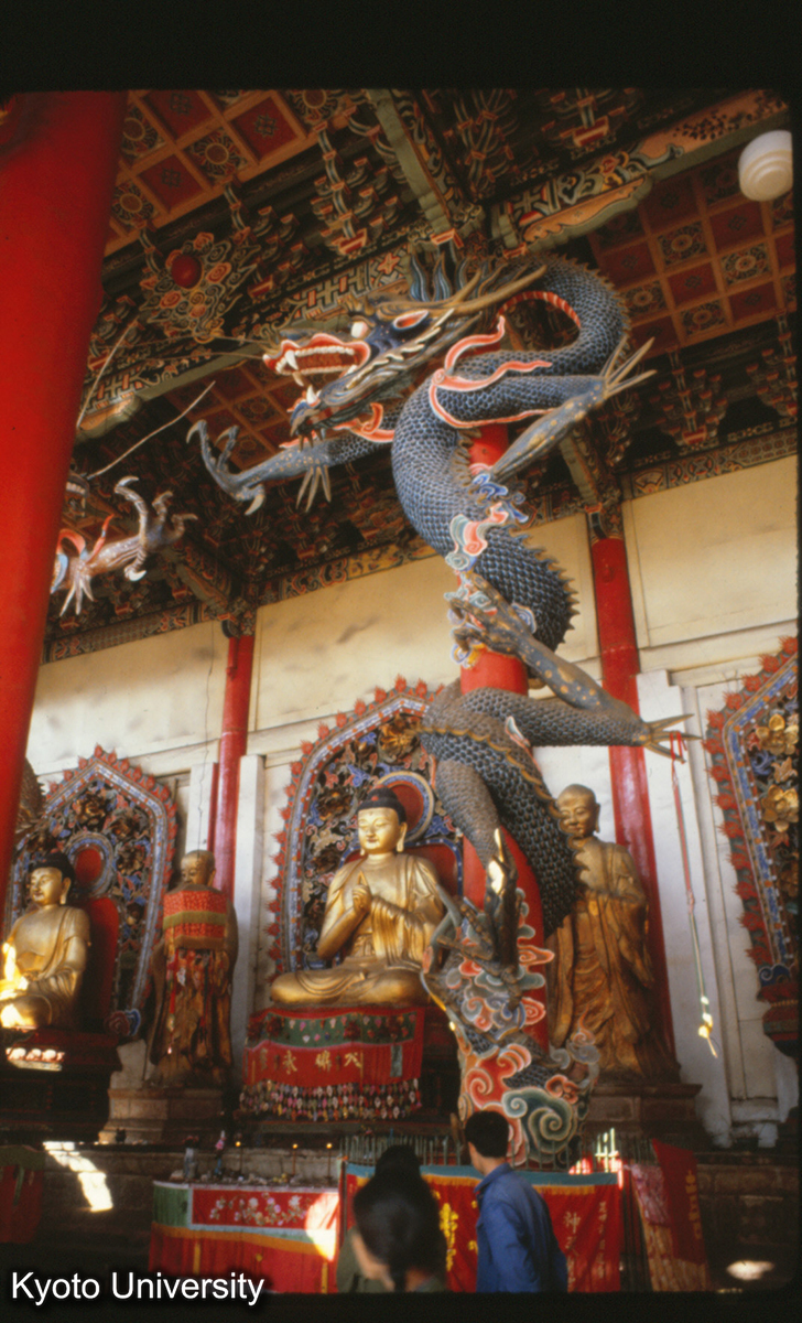 95-29_昆明 円通寺大殿 龍柱 (1)