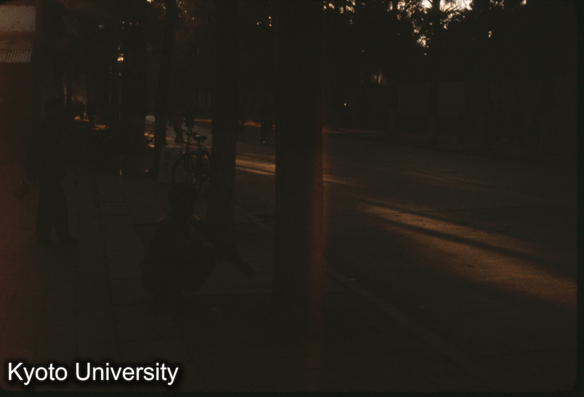 97-1_竹筒タバコ（昆明） (1)