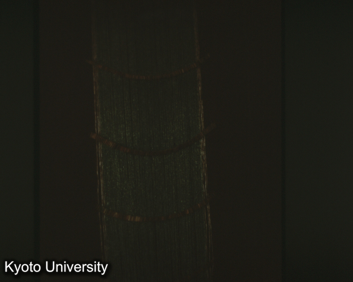 100-4_珠被（江川李家山出土） （雲南省博） (1)