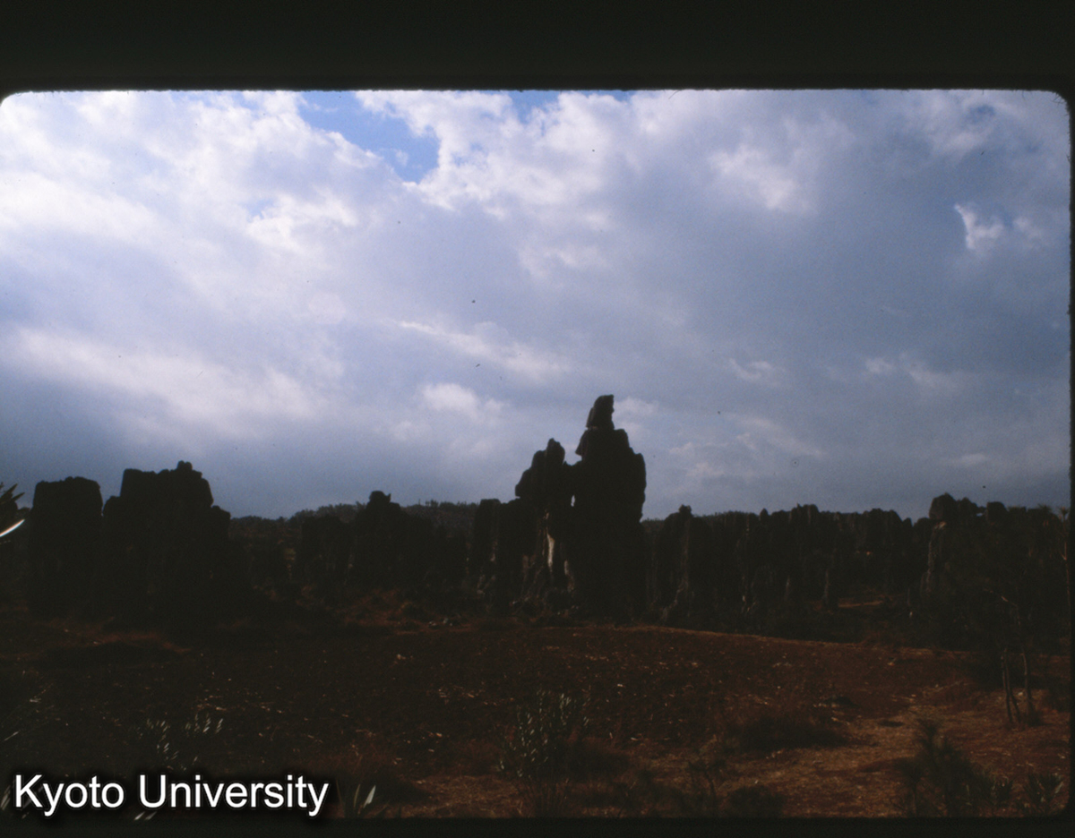 101-10_路南 石林 (1)