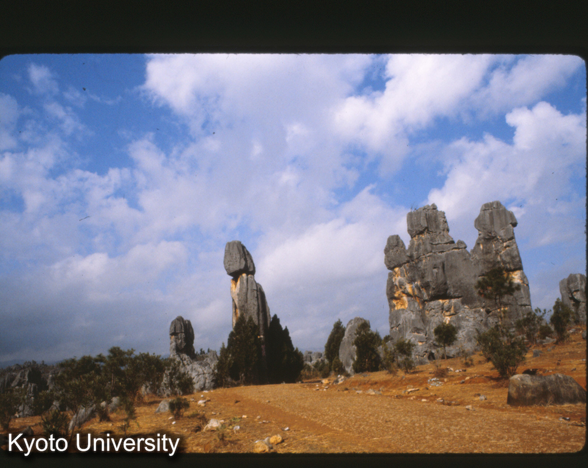 101-11_路南 石林 (1)