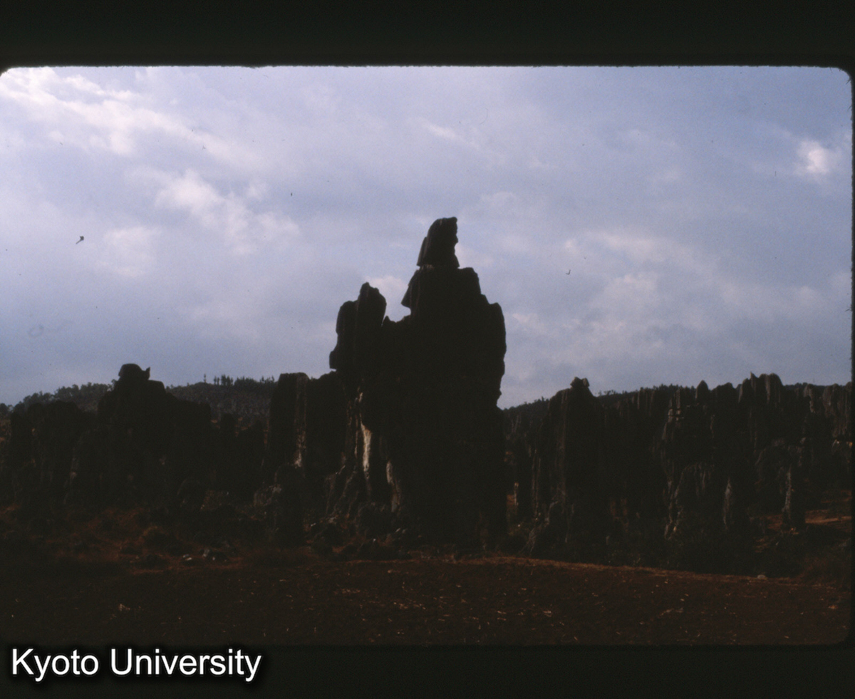 101-12_路南 石林 (1)