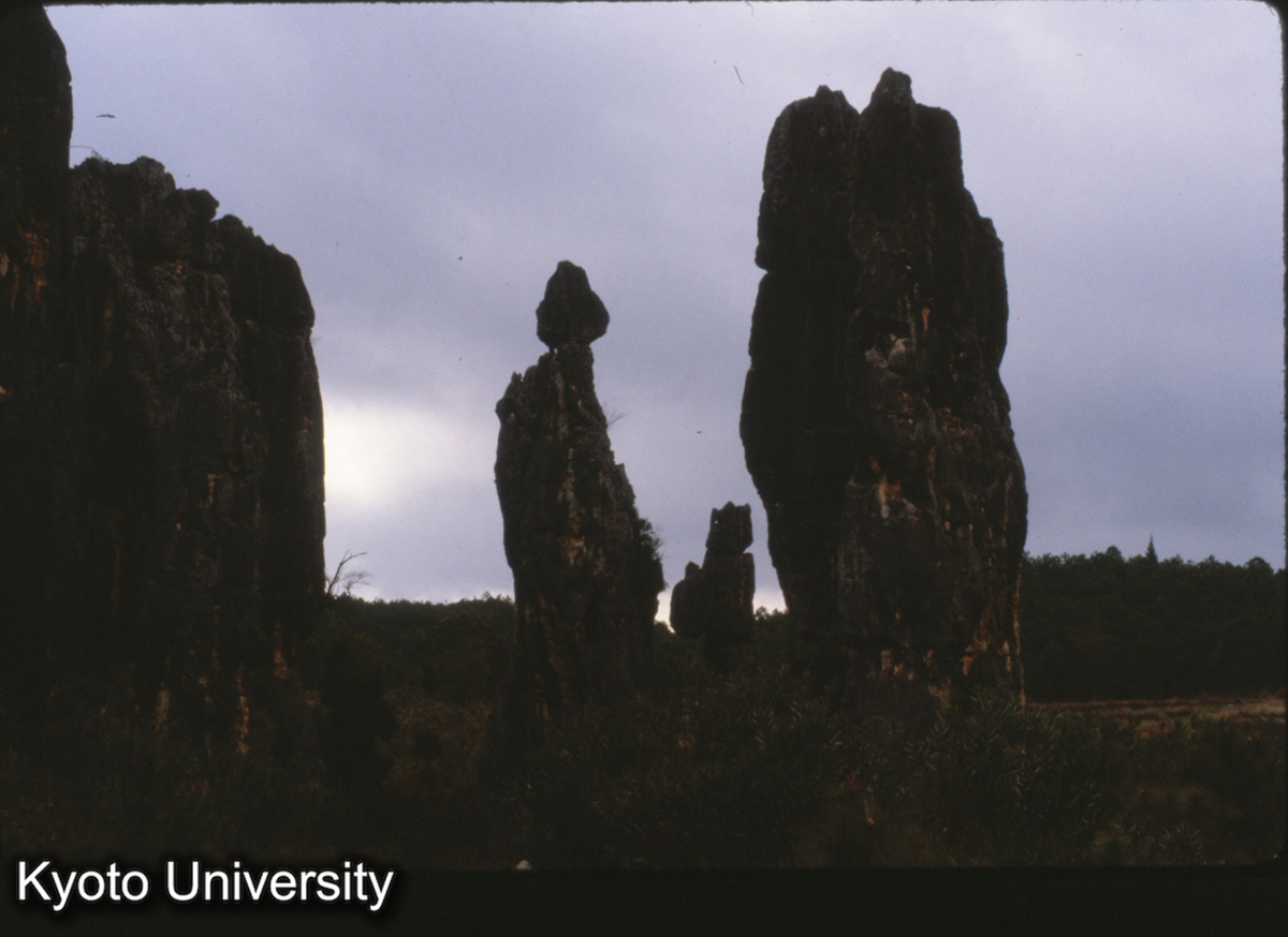 101-17_路南 石林 (1)