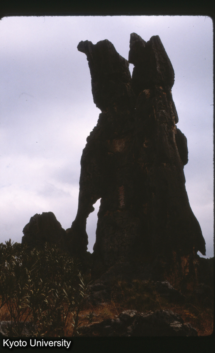 101-20_路南 石林 (1)