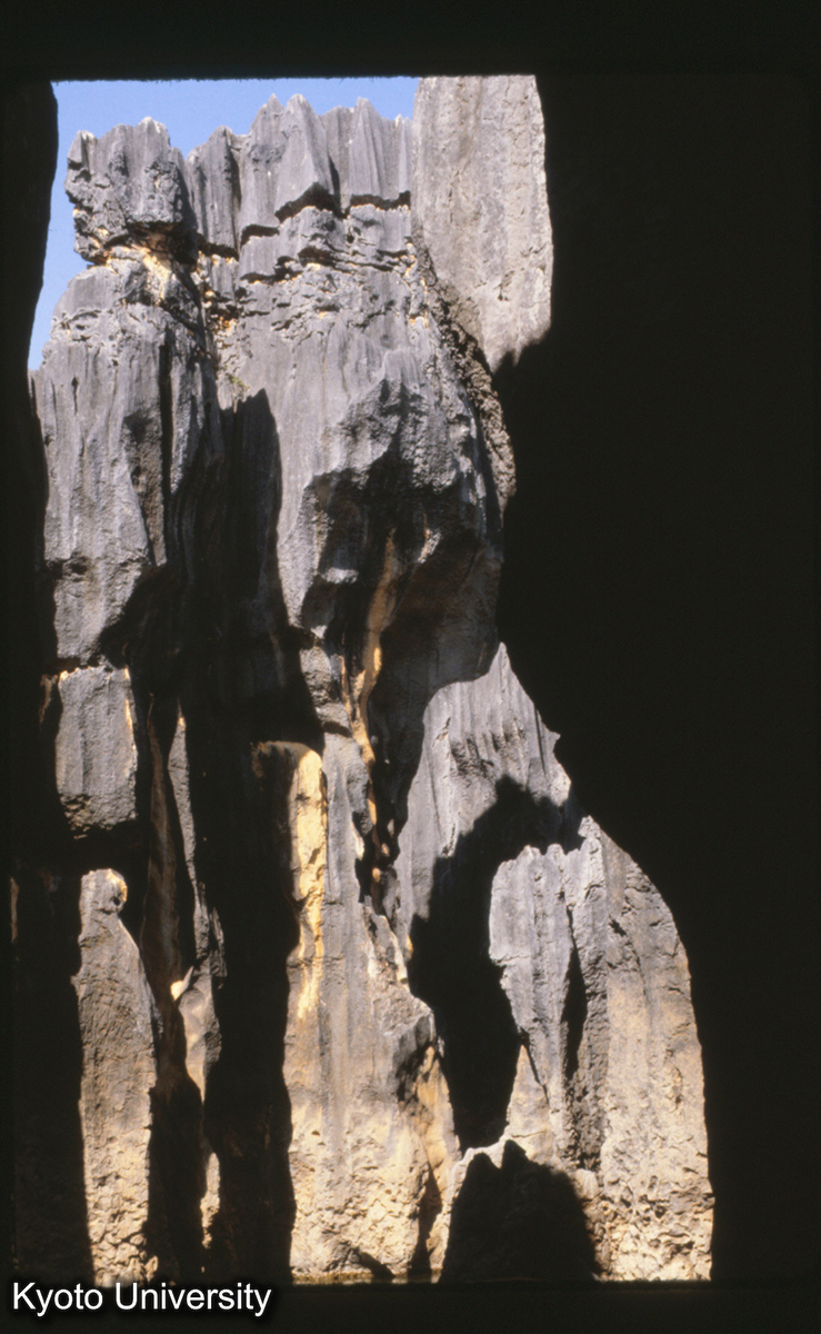 101-36_路南 石林 (1)