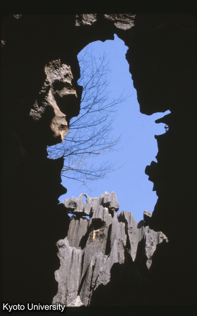 101-37止_路南 石林 (1)