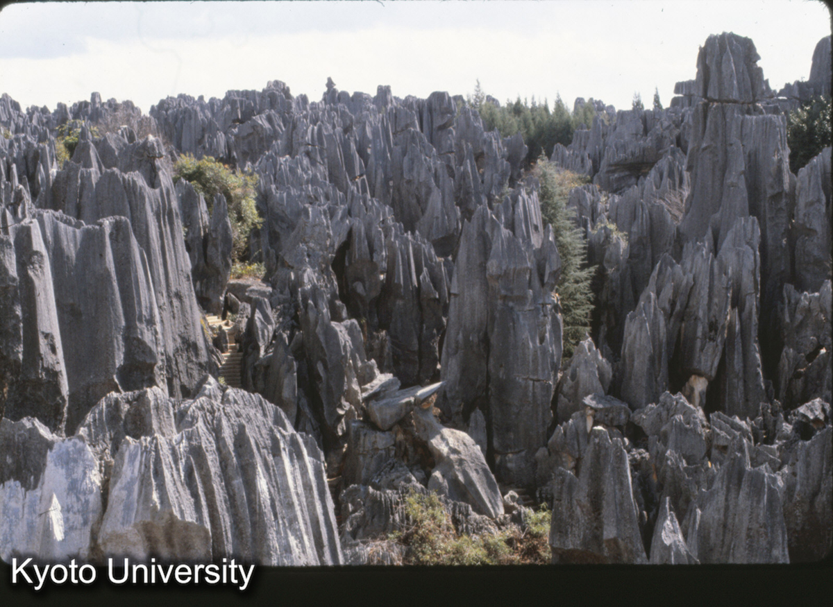 102-2_路南 石林 全景 (1)