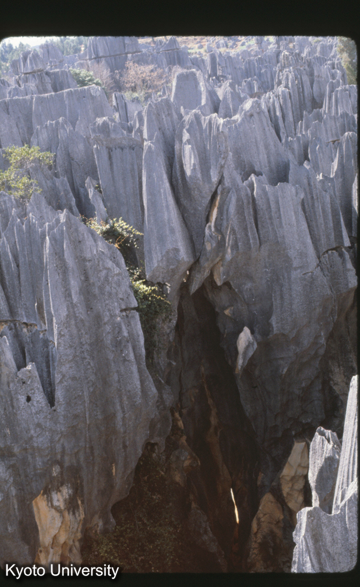 102-3_路南 石林 (1)