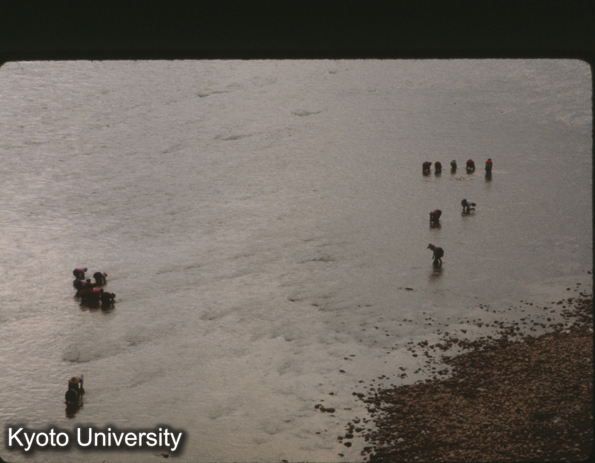 104-36_タイ族（瀾滄江） (1)