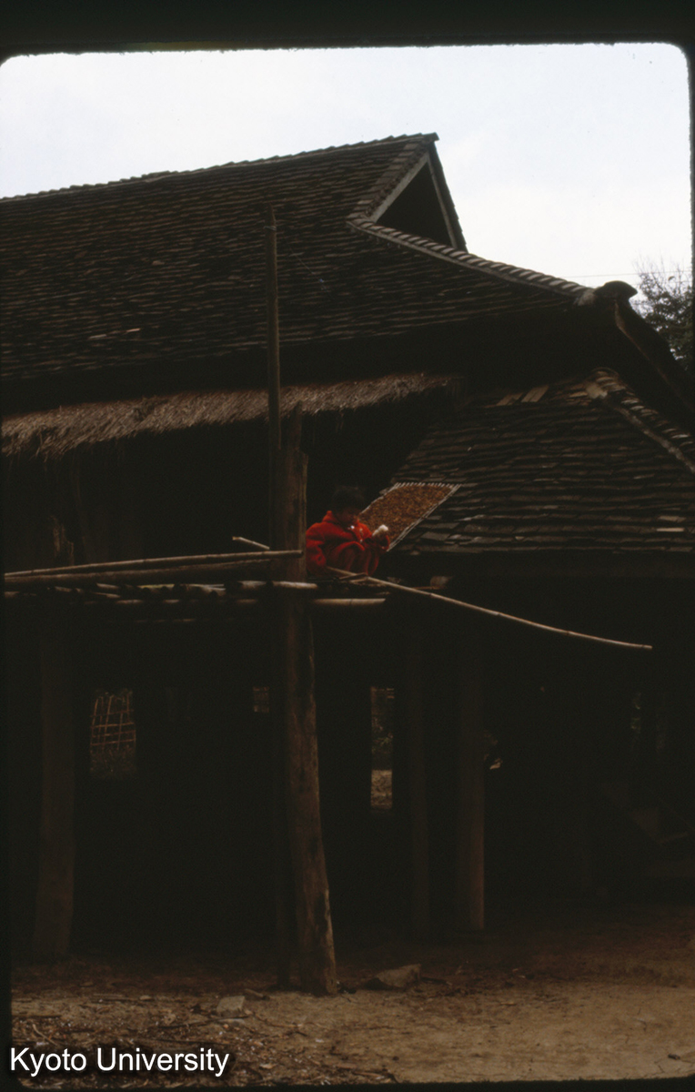 105-3_景洪 タイ族 民居 (1)