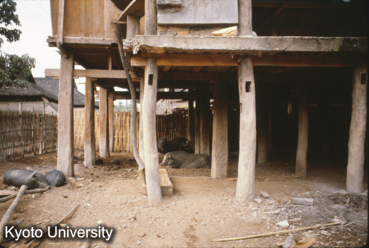 105-7_景洪 タイ族 民居 (1)