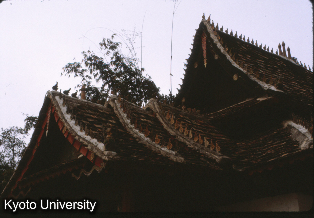 107-23_曼角仏寺経堂 屋面 (1)