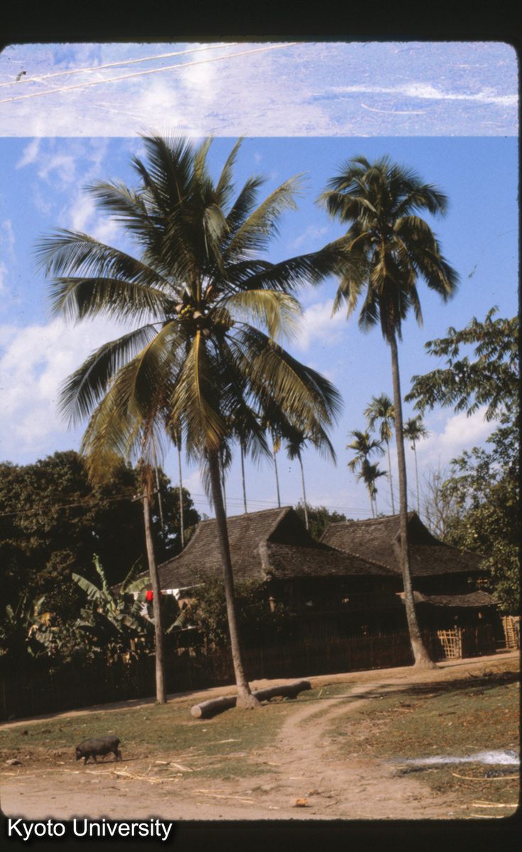 109-35止_景洪 曼聴タイ族 民居 (1)