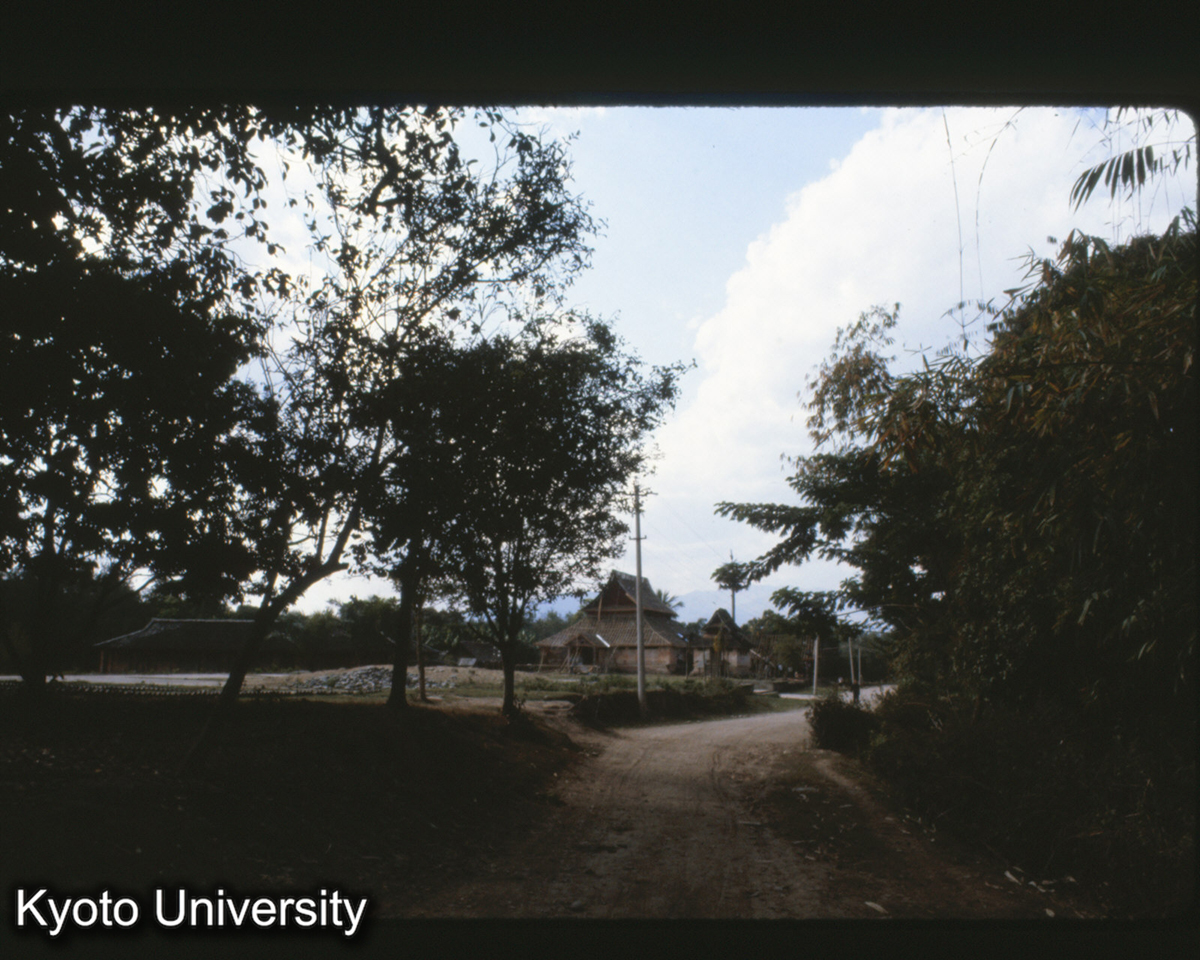 110-8_景洪 タイ族 村寨 (1)