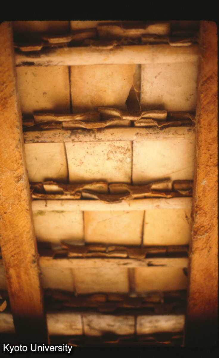 110-13_景洪 曼龍 ホンポアイロラ氏宅 瓦ウラ面（割り竹野地） 19×12.5ツメ5×2 (1)