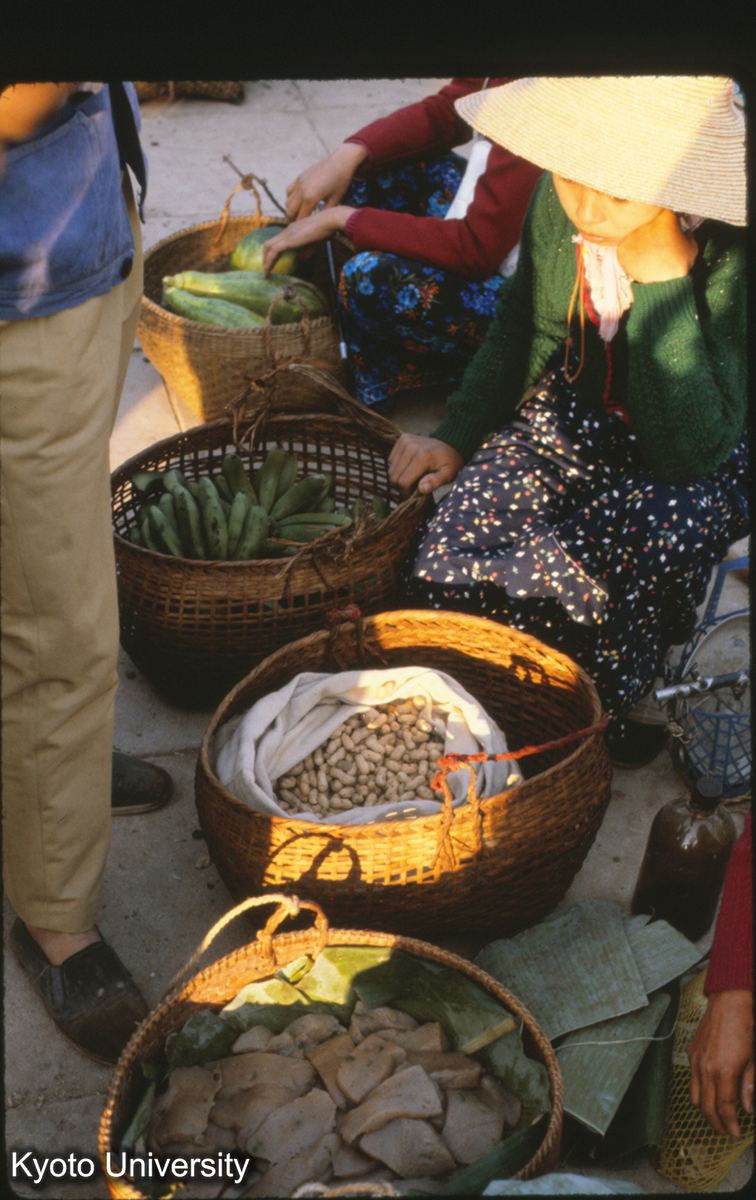 110-27_こんにゃく・豆他 景洪 (1)