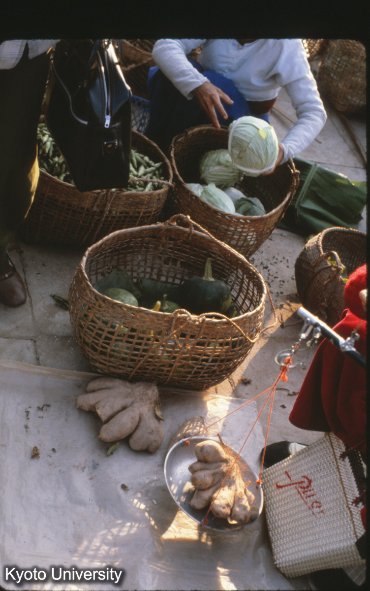 110-29_キャベツ・やつがしら? （景洪） (1)