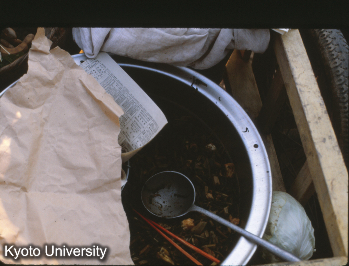 111-1_揚豆腐煮込み? （景洪） (1)