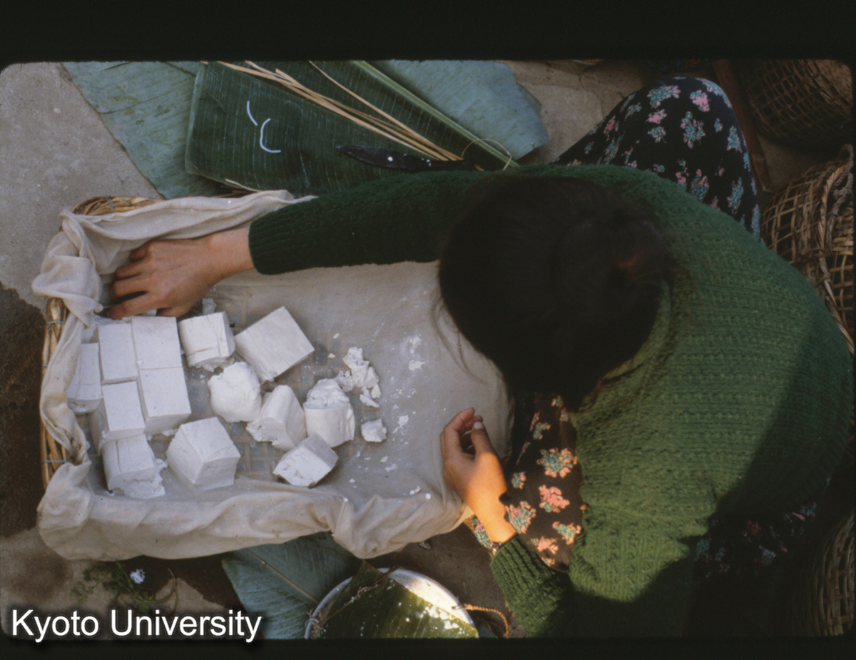 111-2_豆腐 （景洪） (1)