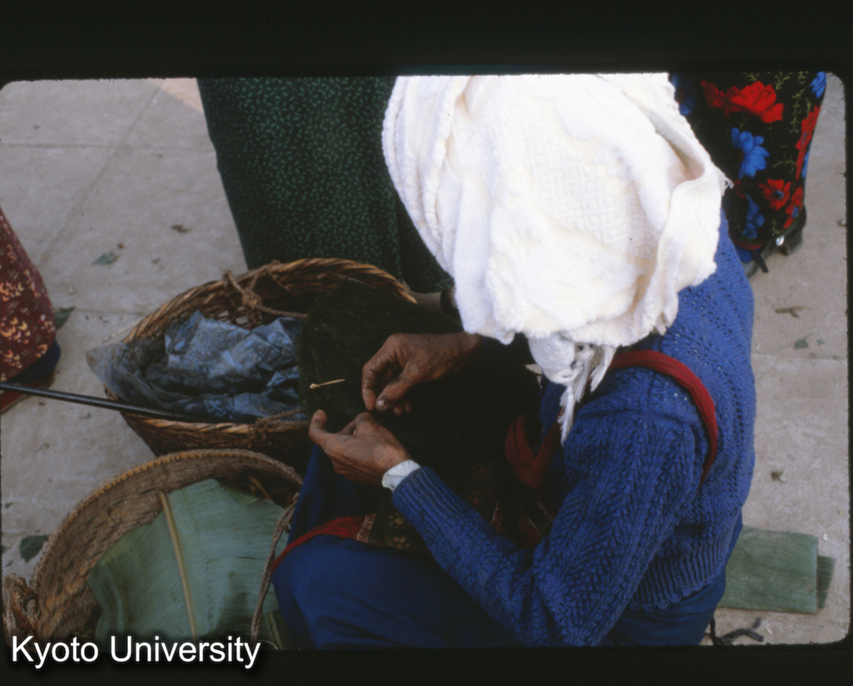 111-6_（景洪） (1)