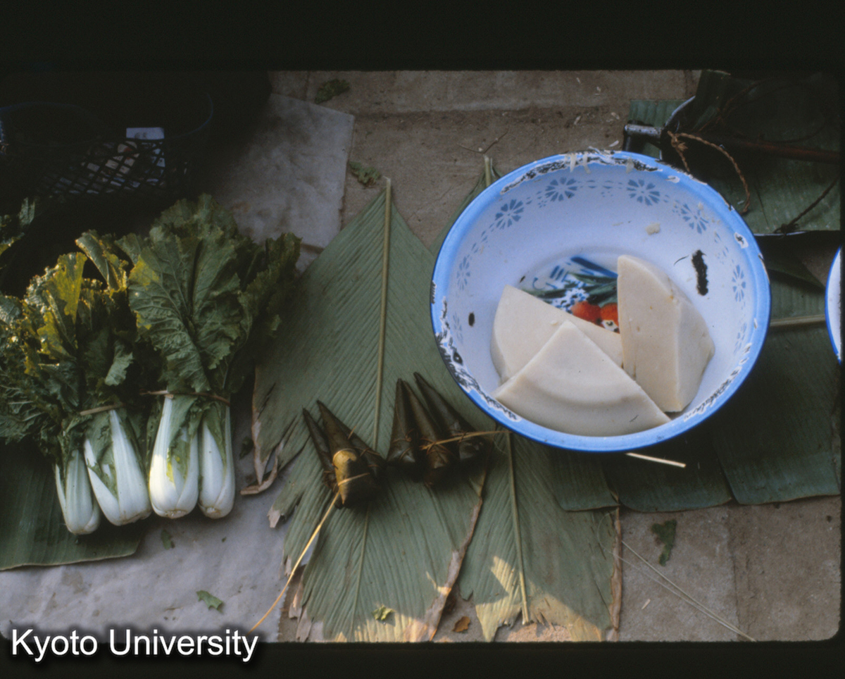 111-9_菜心・粽・豆腐 （景洪） (1)