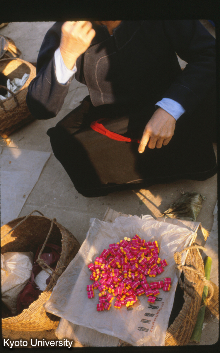 111-10_耳飾り（穴をあけた人用） （景洪） (1)