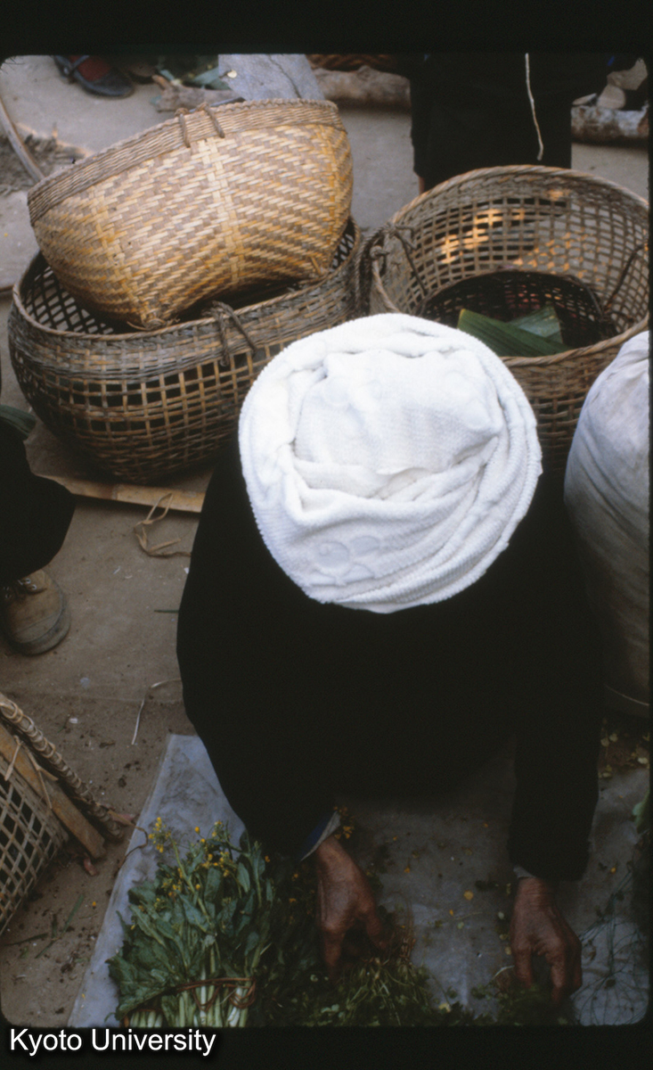 111-12_（景洪） (1)