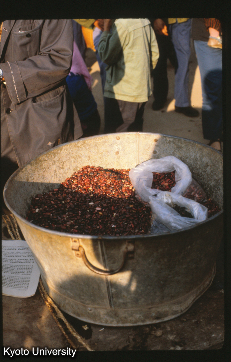 111-14_ （景洪） (1)