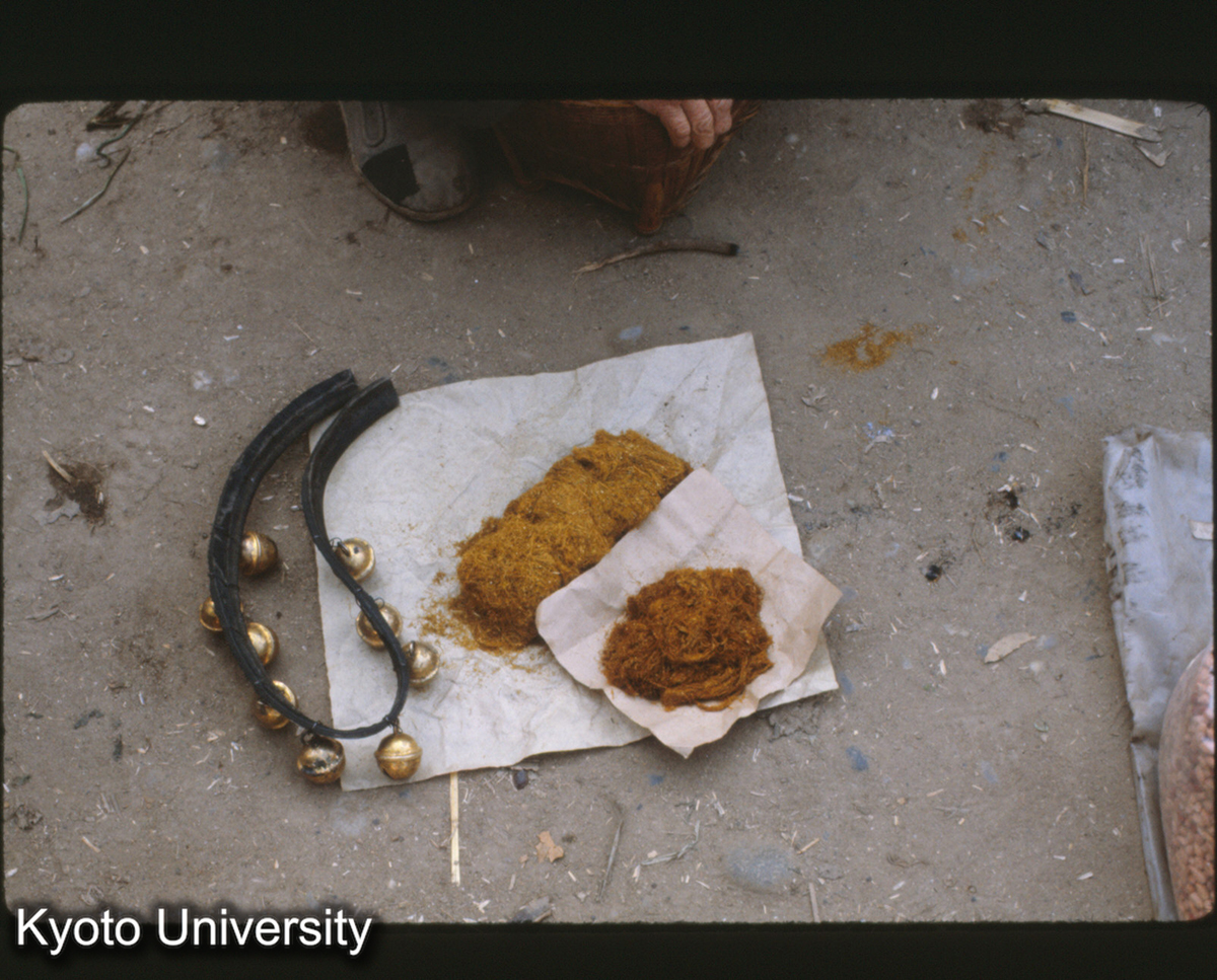 111-16_不詳 （景洪） (1)