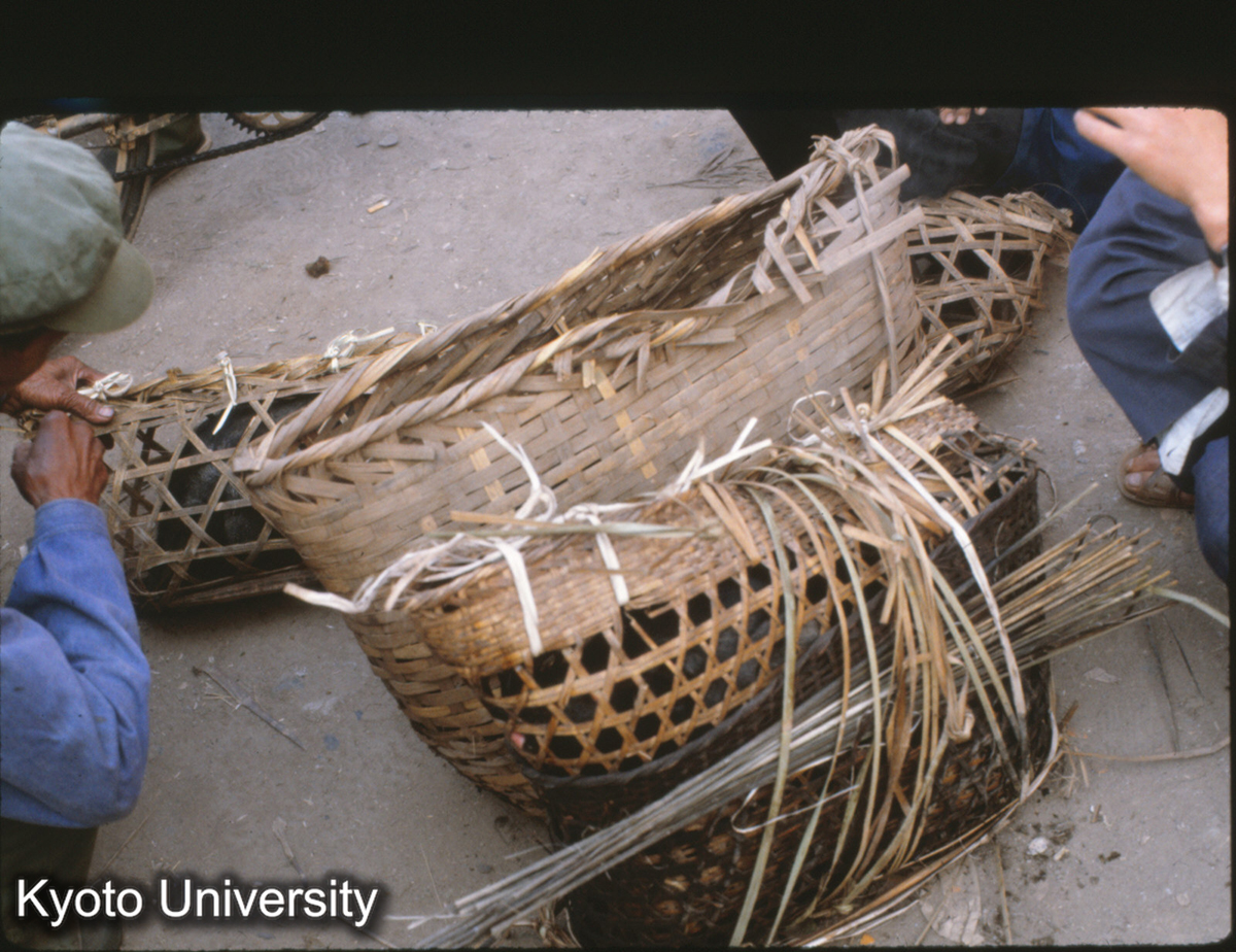 111-19_手製編かご （景洪） (1)