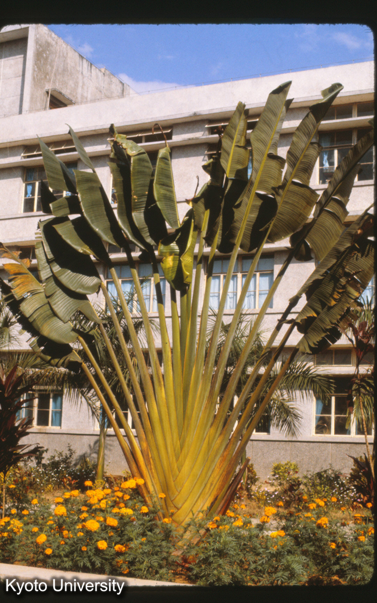 111-38止_（景洪） (1)