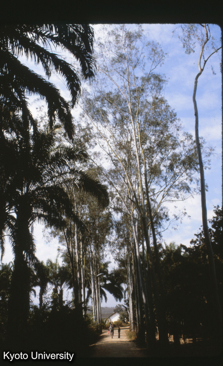 112-16_（景洪） (1)