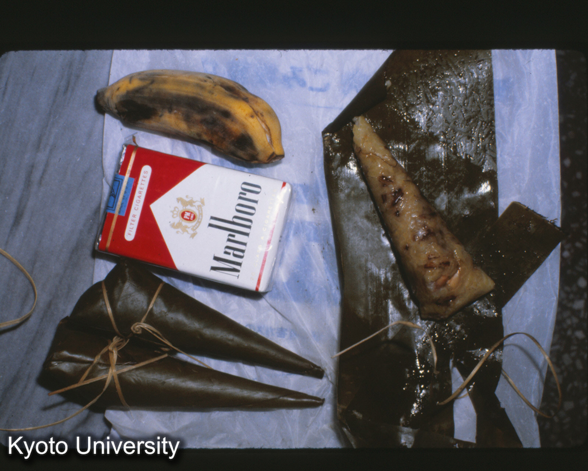 112-24_景洪で買った粽 (1)