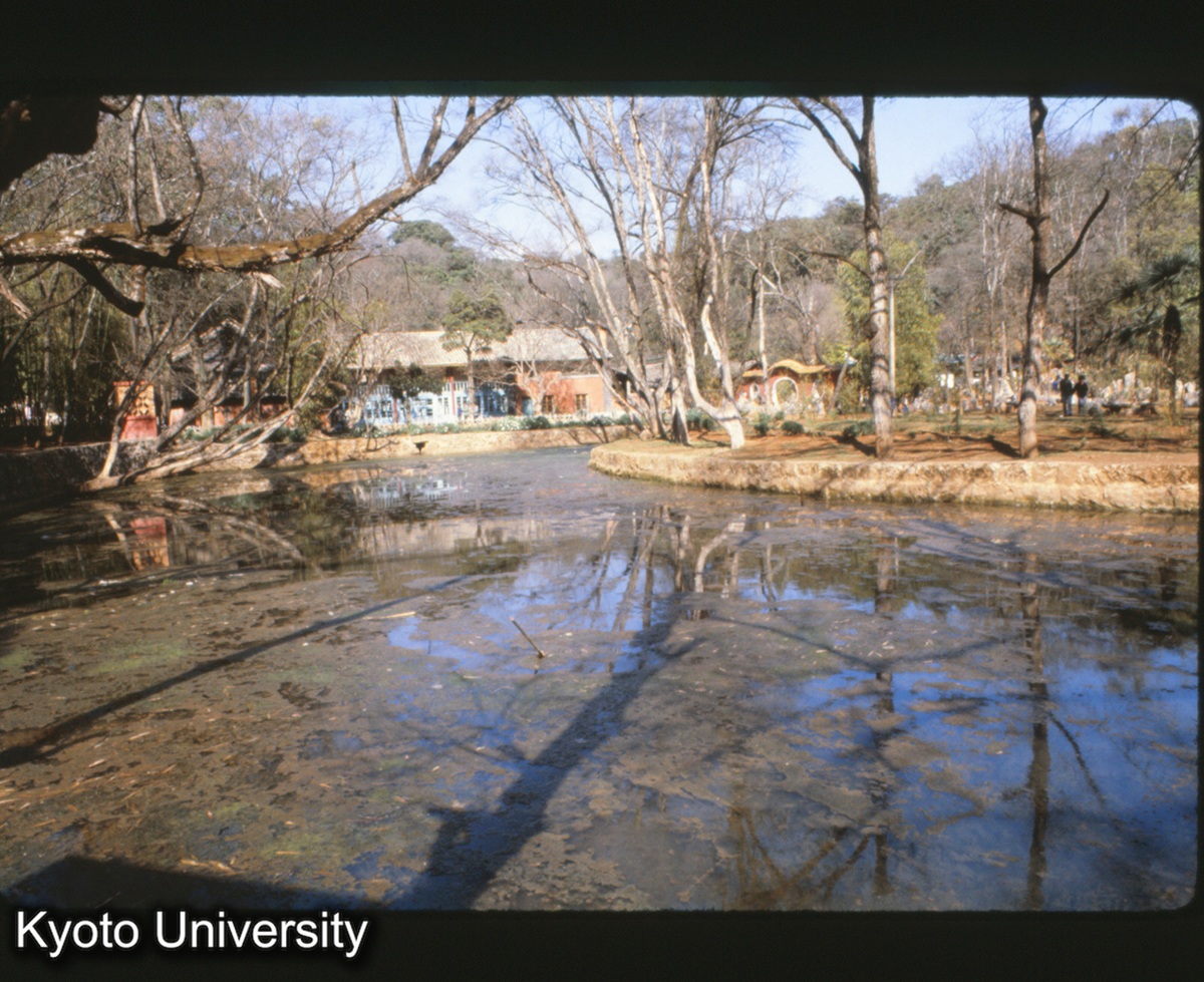 114-28_昆明 黒龍潭 入口の池 王国維 投身自殺 (1)