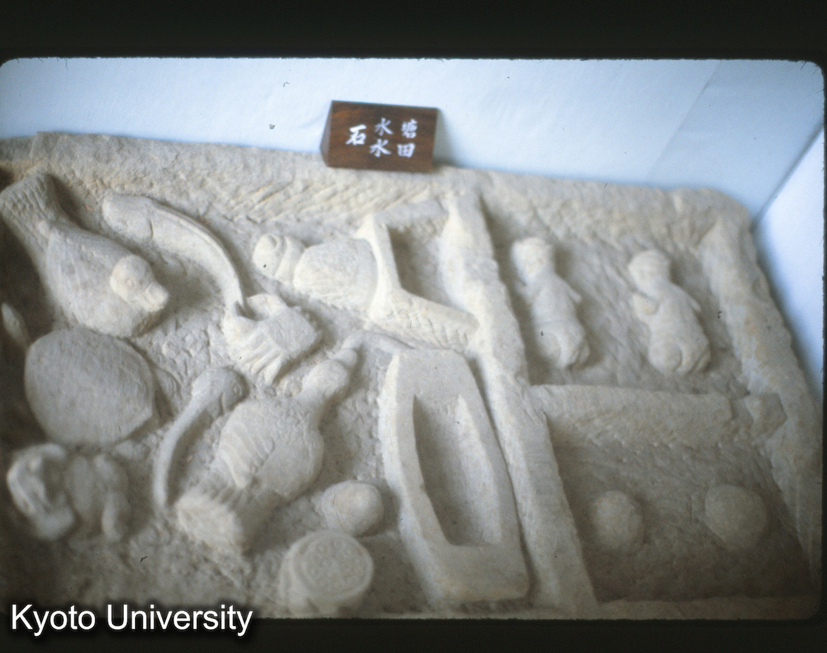 115-16_石水塘・水田（峨眉双福・東漢） （四川省博物館） (1)